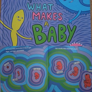 Photo 2 pages of a children's book called What Makes a Baby, one page is the cover and the other is an inside spread illustration of embryo and foetal development at different stages. 